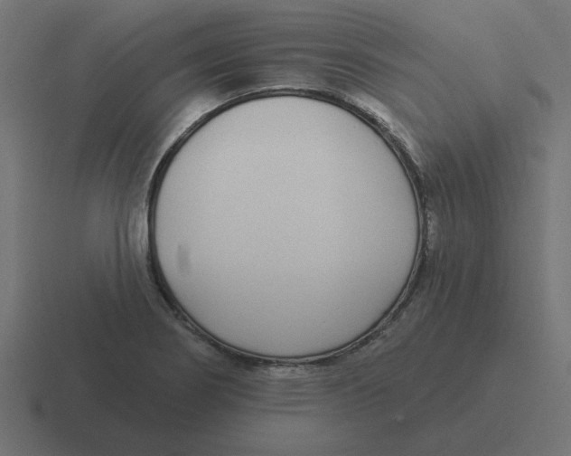 X0000116431274200912291901