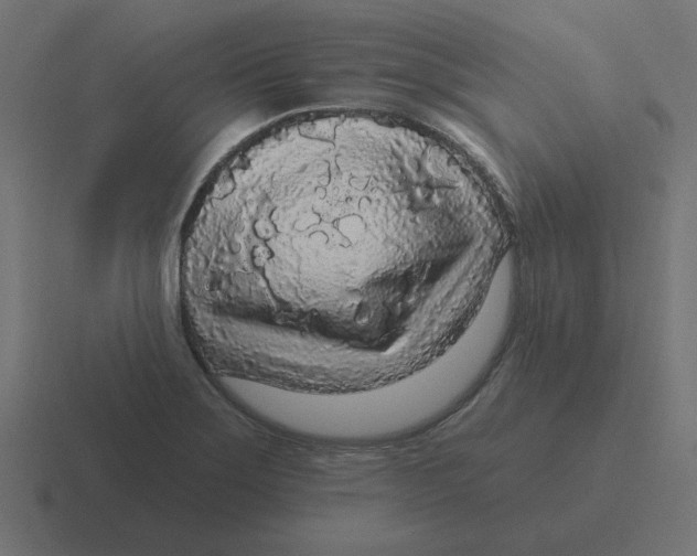 X0000116431275200912291901