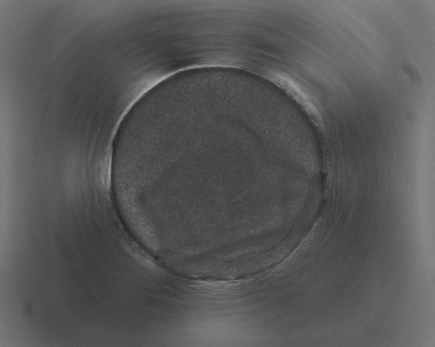 X0000116431276200912291901