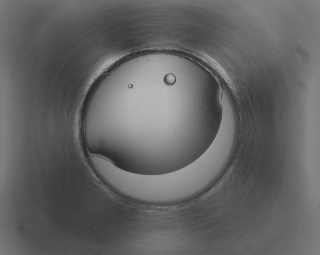 X0000116431277200912291901