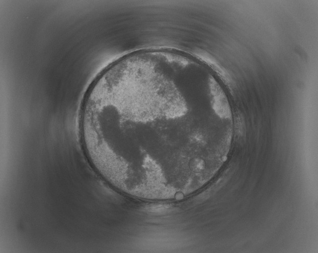 X0000116431278200912291901