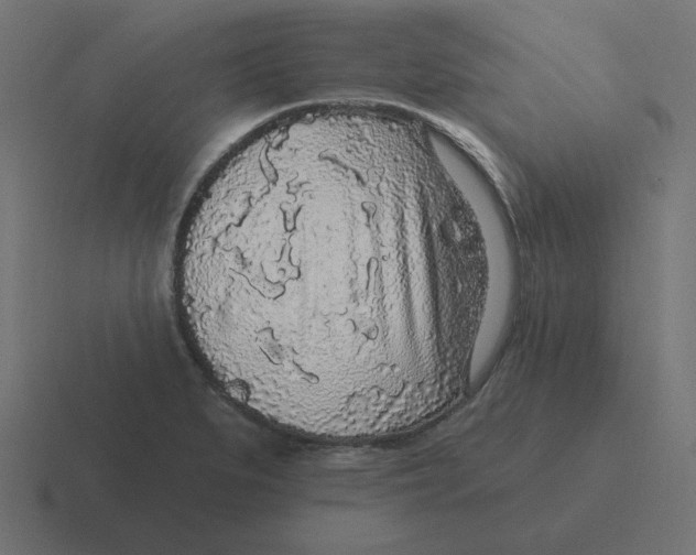 X0000116431279200912291901