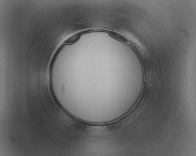 X0000116431280200912291901