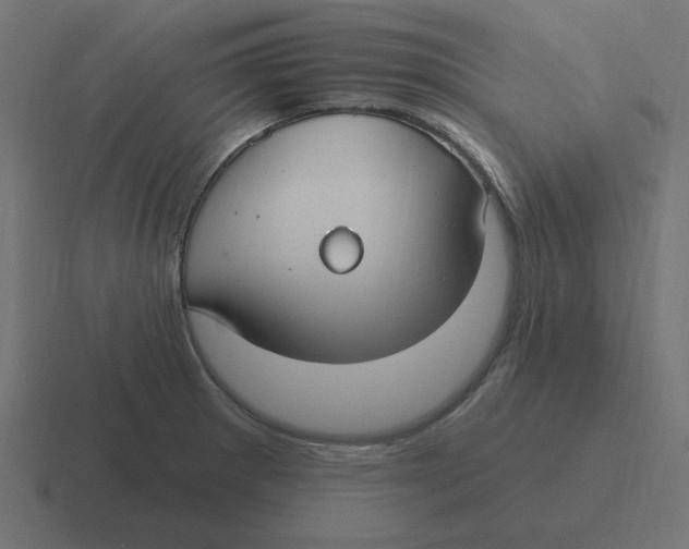 X0000116431281200912291901