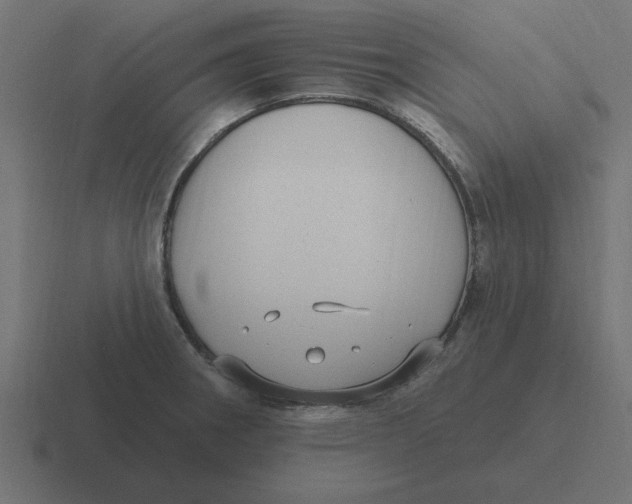 X0000116431282200912291901