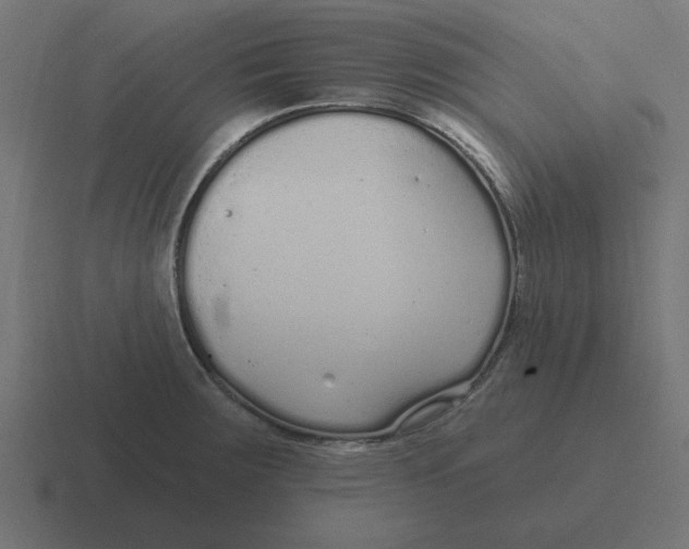 X0000116431283200912291901