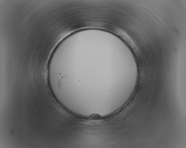 X0000116431284200912291901