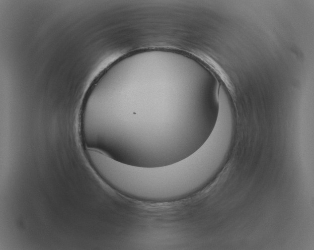 X0000116431285200912291901