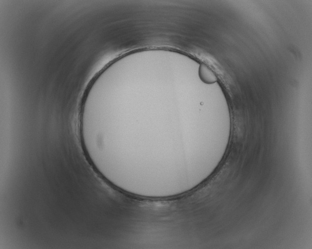 X0000116431286200912291901