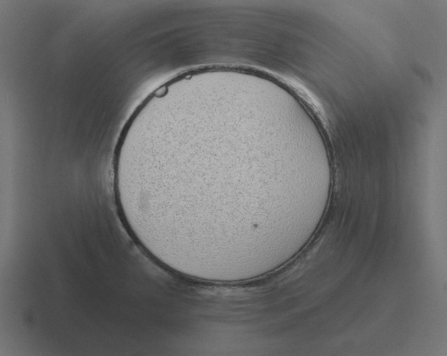 X0000116431287200912291901