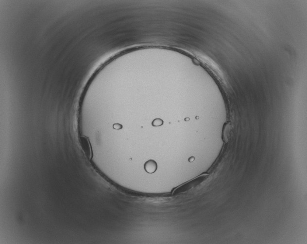 X0000116431288200912291901