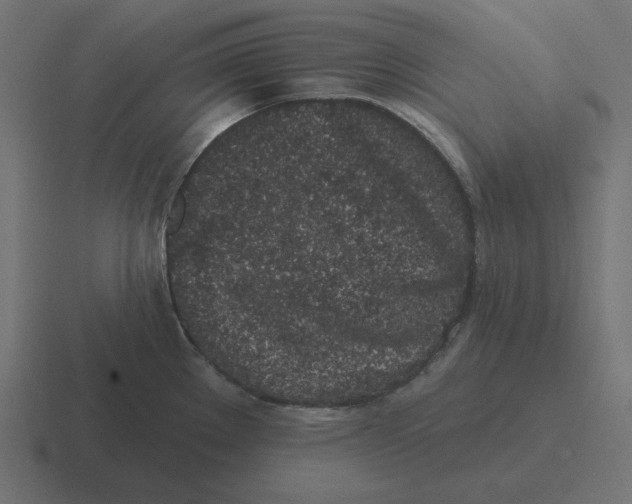 X0000116431289200912291901