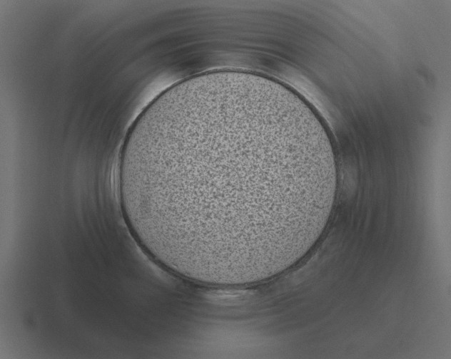 X0000116431290200912291901