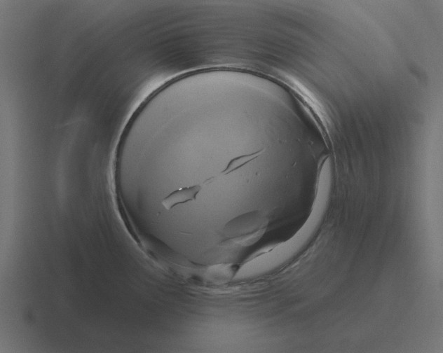 X0000116431291200912291901