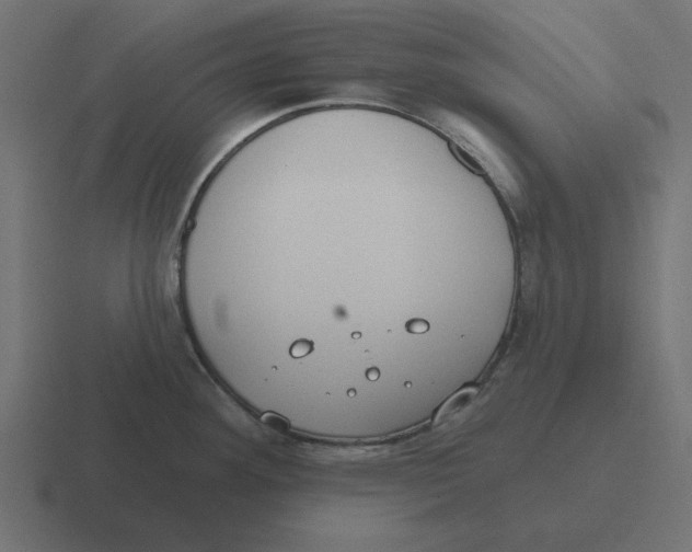 X0000116431292200912291901