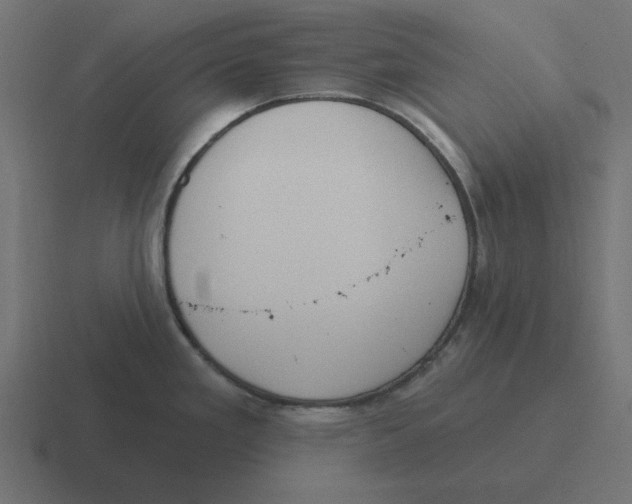 X0000116431293200912291901