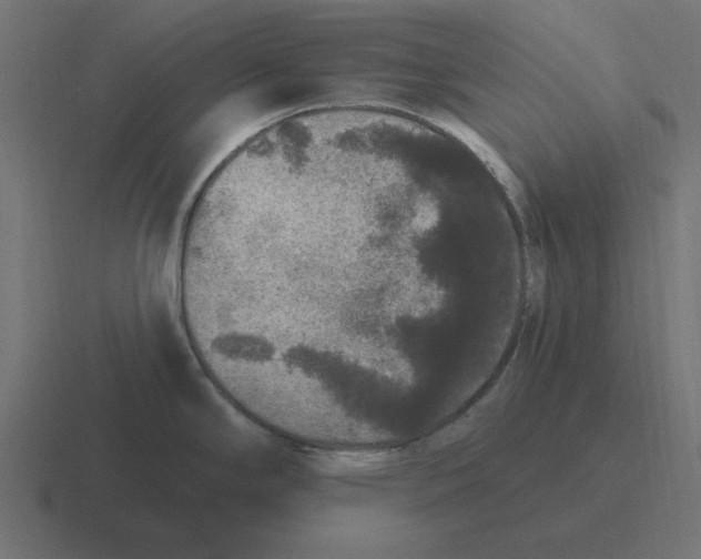 X0000116431294200912291901