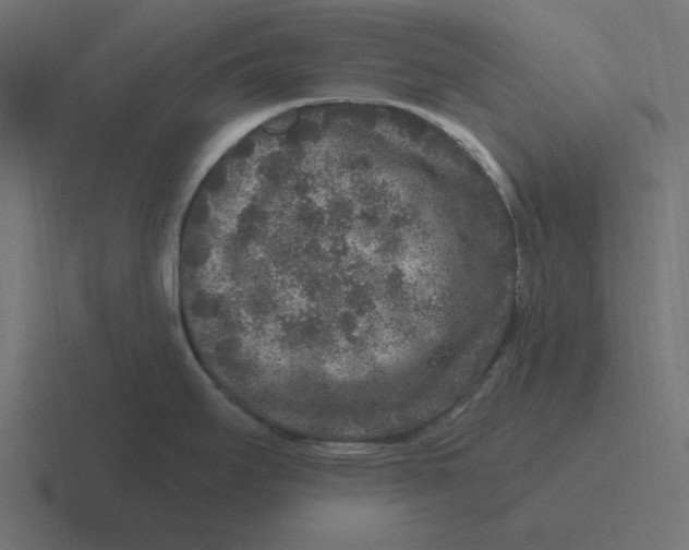 X0000116431295200912291901