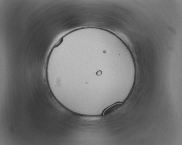 X0000116431296200912291901