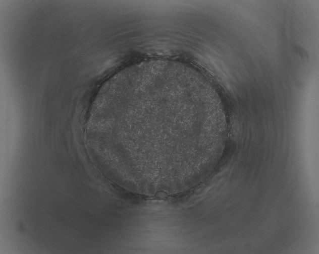 X0000116431297200912291900