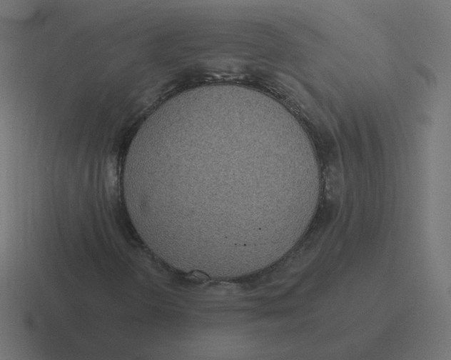 X0000116431298200912291900