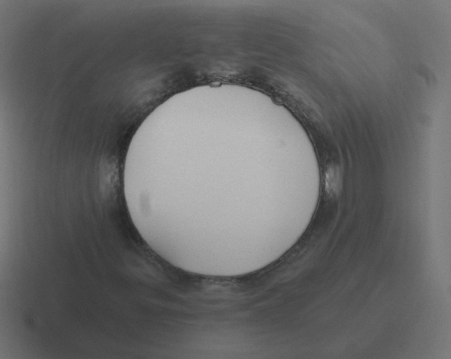 X0000116431299200912291900