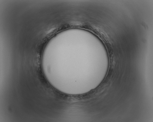 X0000116431301200912291900