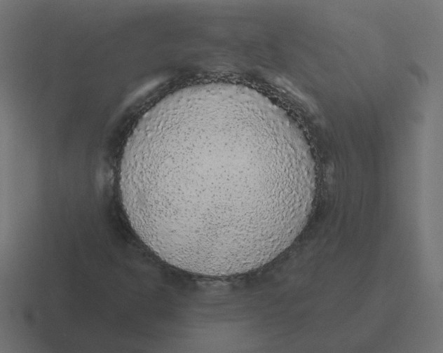 X0000116431302200912291900