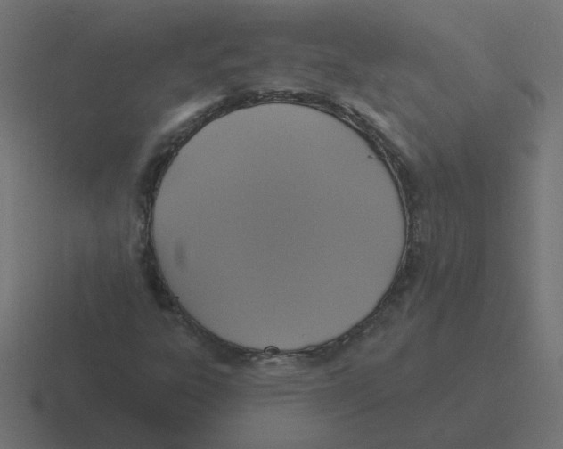 X0000116431303200912291900