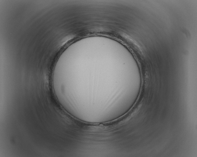 X0000116431305200912291900