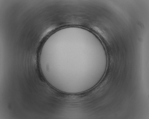 X0000116431307200912291900