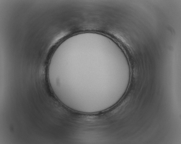 X0000116431309200912291900