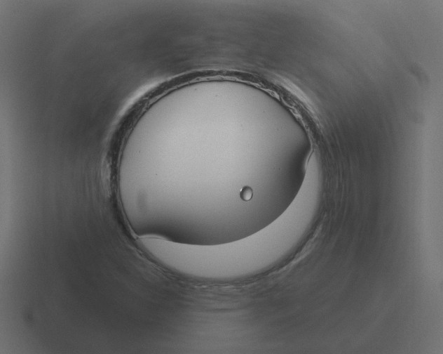 X0000116431310200912291900