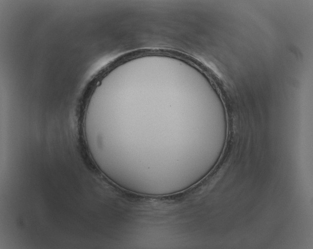 X0000116431311200912291900