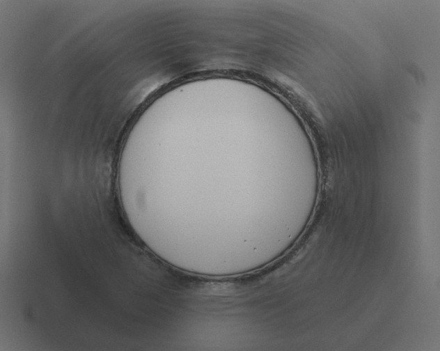 X0000116431313200912291900