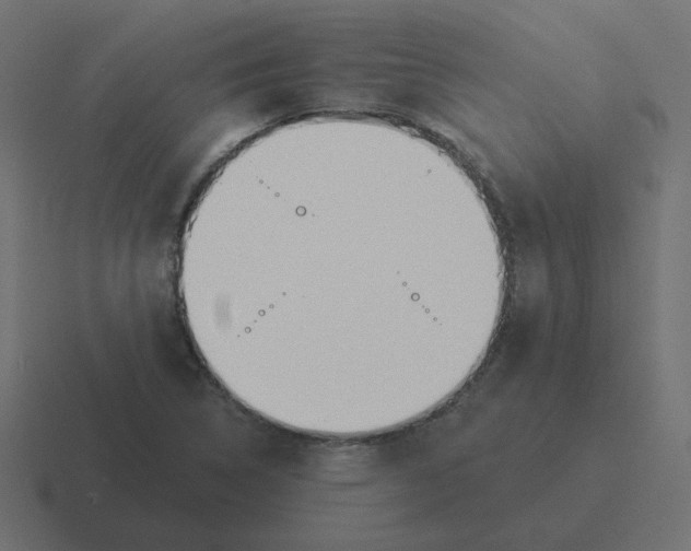 X0000116431314200912291900