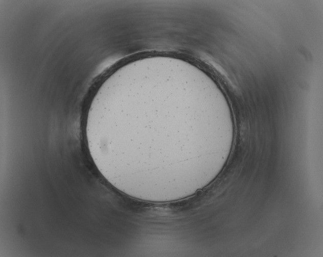 X0000116431315200912291900