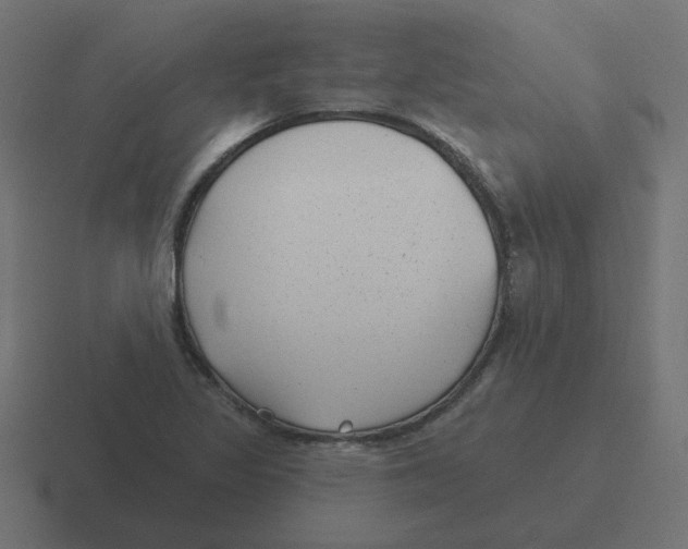 X0000116431317200912291900