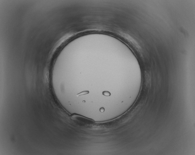 X0000116431318200912291900