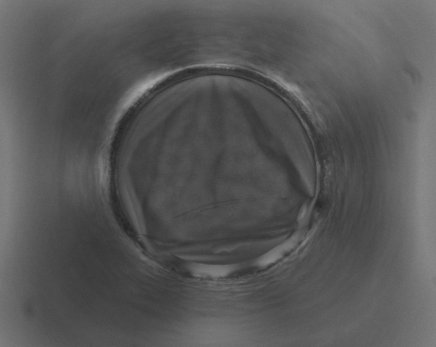 X0000116431319200912291900