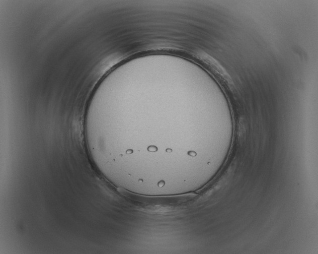 X0000116431321200912291900