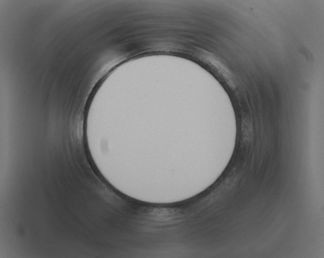 X0000116431322200912291900