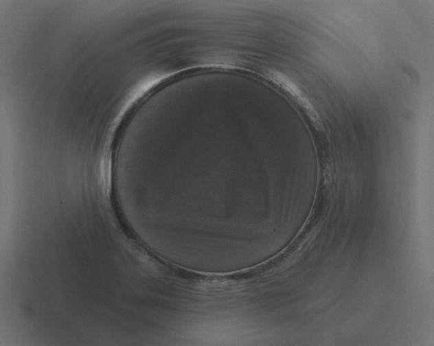 X0000116431323200912291900