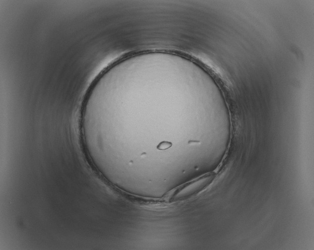 X0000116431325200912291900