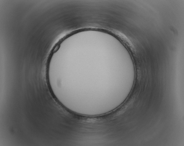 X0000116431326200912291901