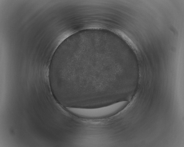 X0000116431329200912291901