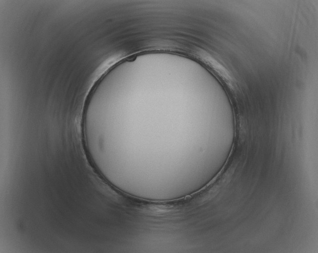 X0000116431330200912291901