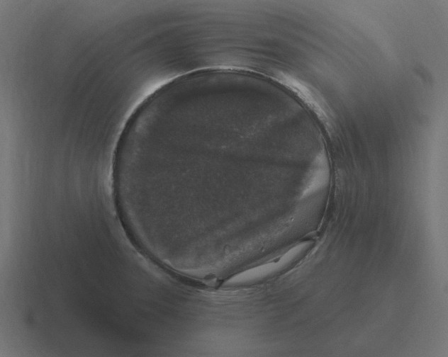 X0000116431331200912291901