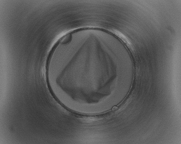 X0000116431334200912291901