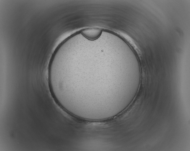 X0000116431335200912291901